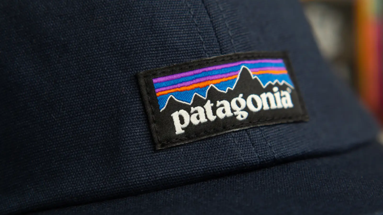 Patagonia: 社会的責任を軸にしたブランド構築