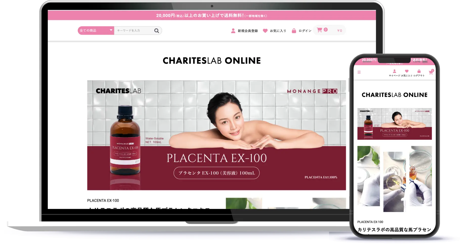 CHARITESLAB ONLINE